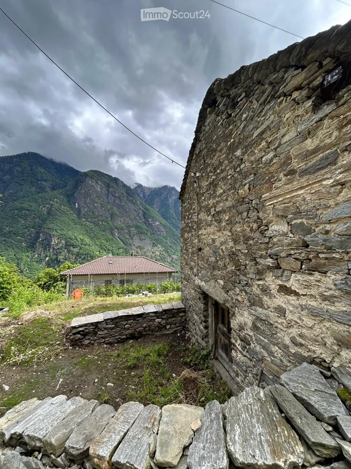 Rustico