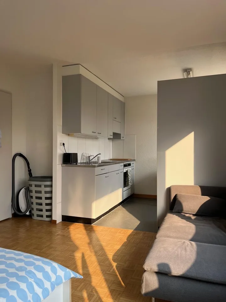 1 Zimmer-Wohnung, 8049 Zürich