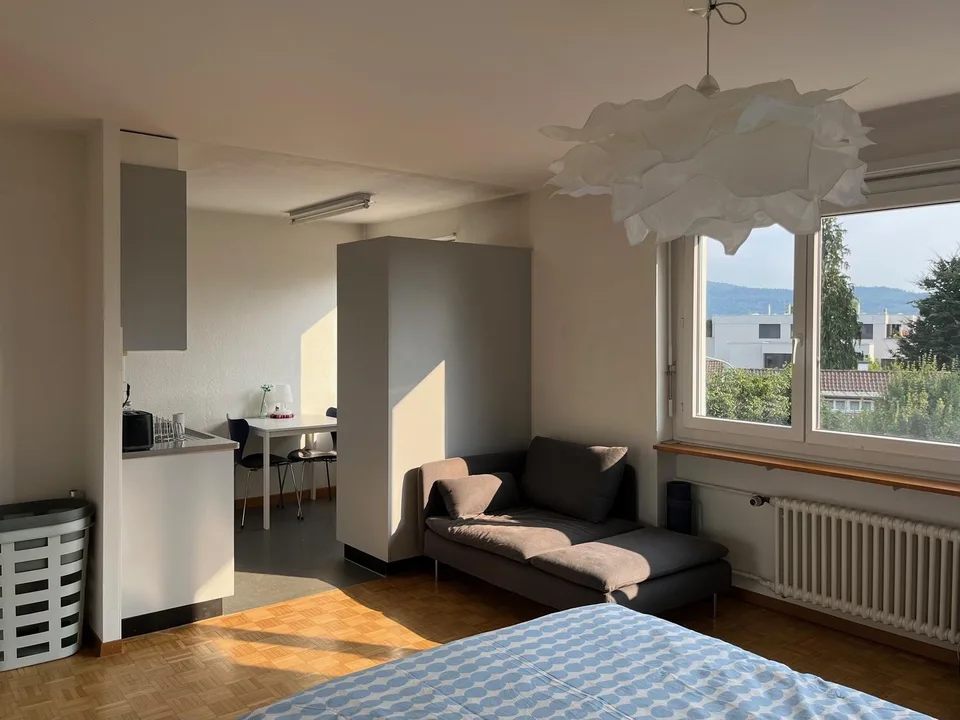 1 Zimmer-Wohnung, 8049 Zürich