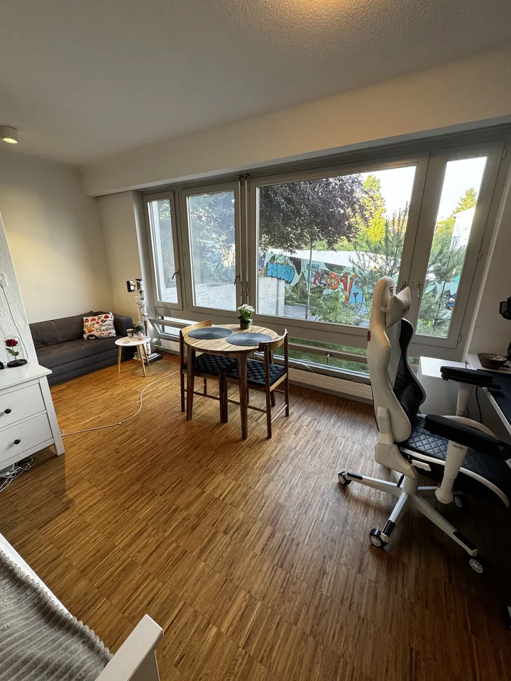 Renovierte und helle 1.5-Zimmer-Wohnung in Zürich-Höngg | Bezug ab 01.09.2026 | Nähe ETH Hönggerberg
