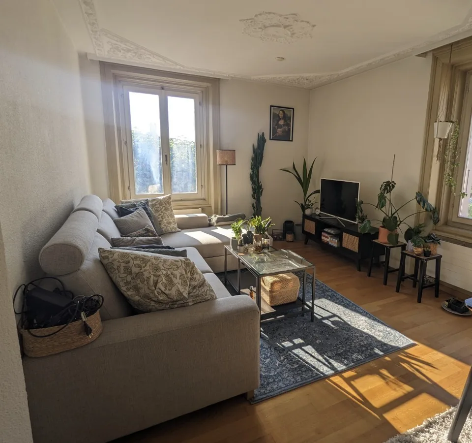 Altbauwohnung mit eigener Dachterrasse, Cheminée und offener Küche