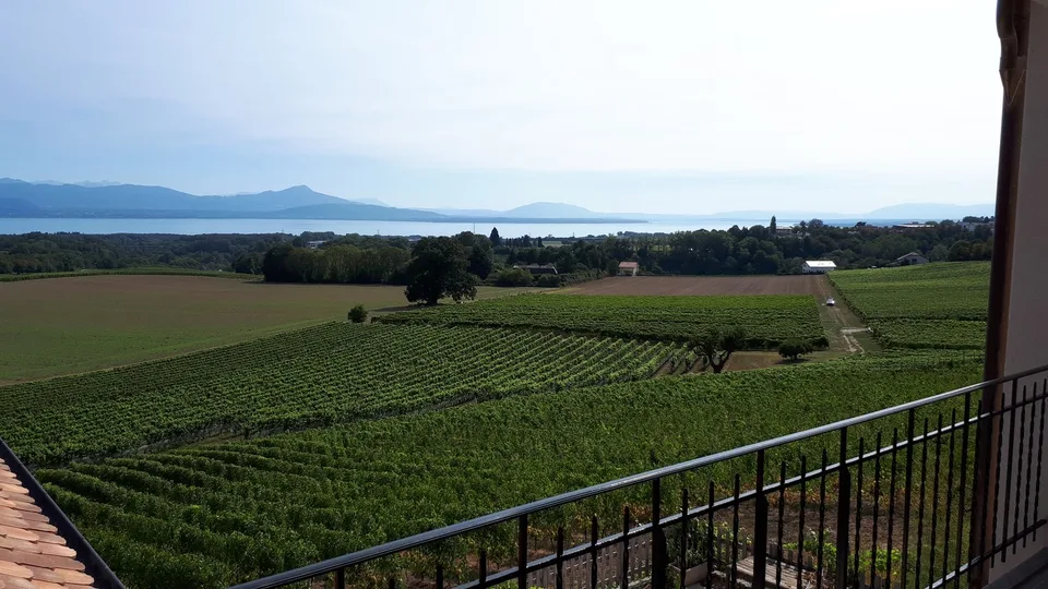 Appartement lumineux de 4.5 pièces avec vue panoramique à Lavigny