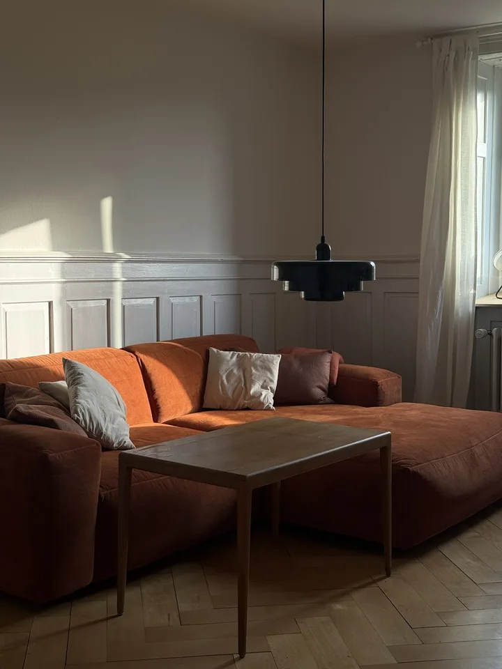 Big Central Zurich Flat available for whole September