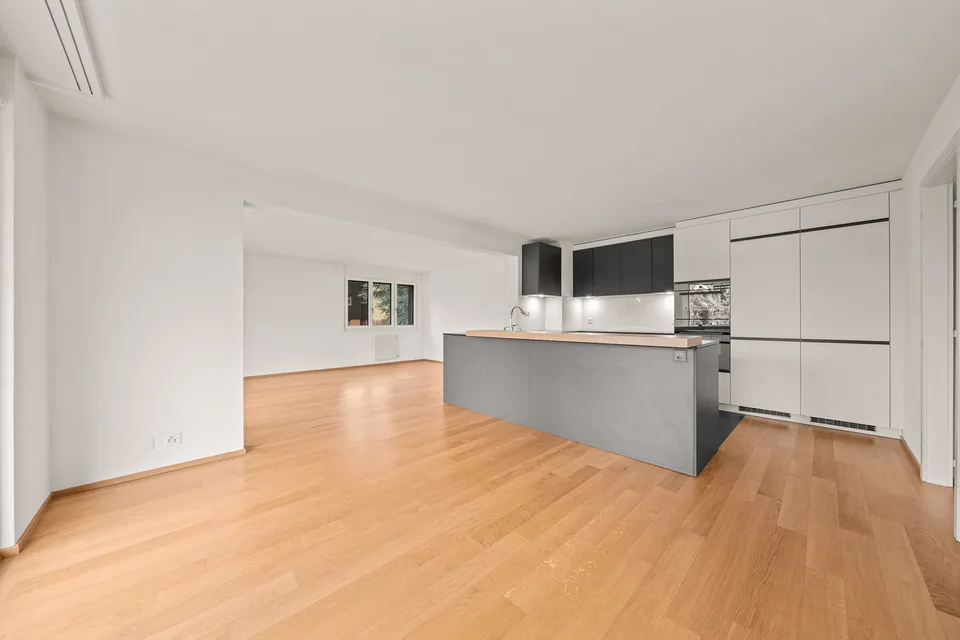 Opportunité unique spacieux appartement dans un cadre paisible vue lac
