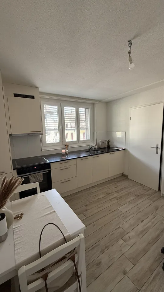 Appartamento disponibile dal 1 novembre 2026 Baselstrasse, Lucerna