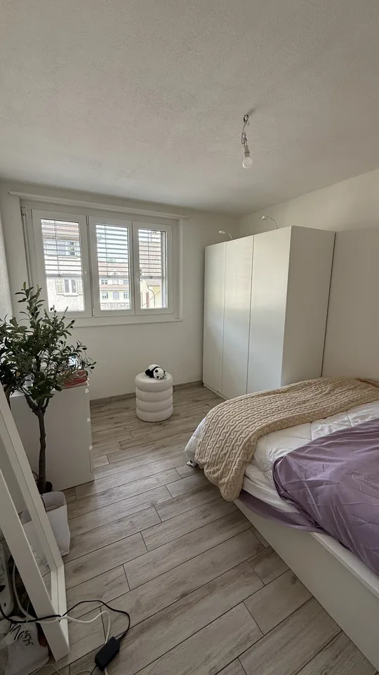 Appartamento disponibile dal 1 novembre 2026 Baselstrasse, Lucerna