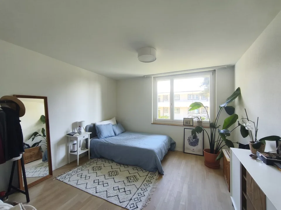 Ruhiges und frisches Apartment