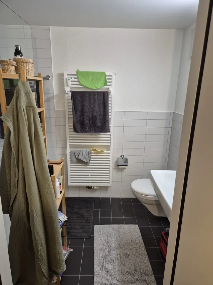 Modernes 1.5 Zimmer Apartment in Oerlikon