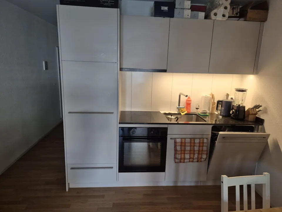 Modernes 1.5 Zimmer Apartment in Oerlikon
