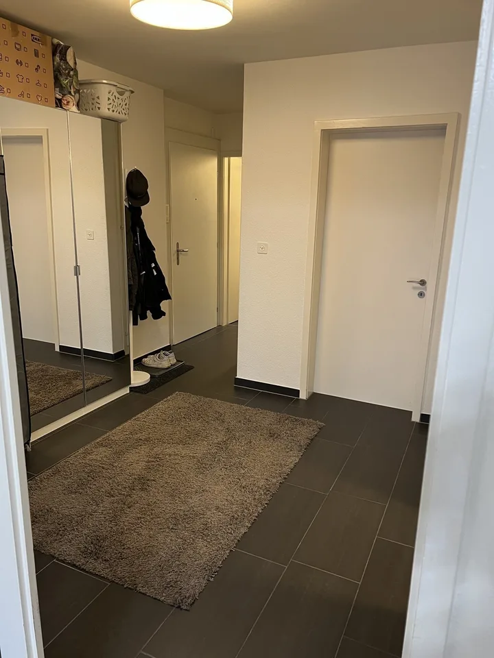 Accogliente appartamento di 2,5 stanze a Zurigo da scambiare – foto 7 di 13