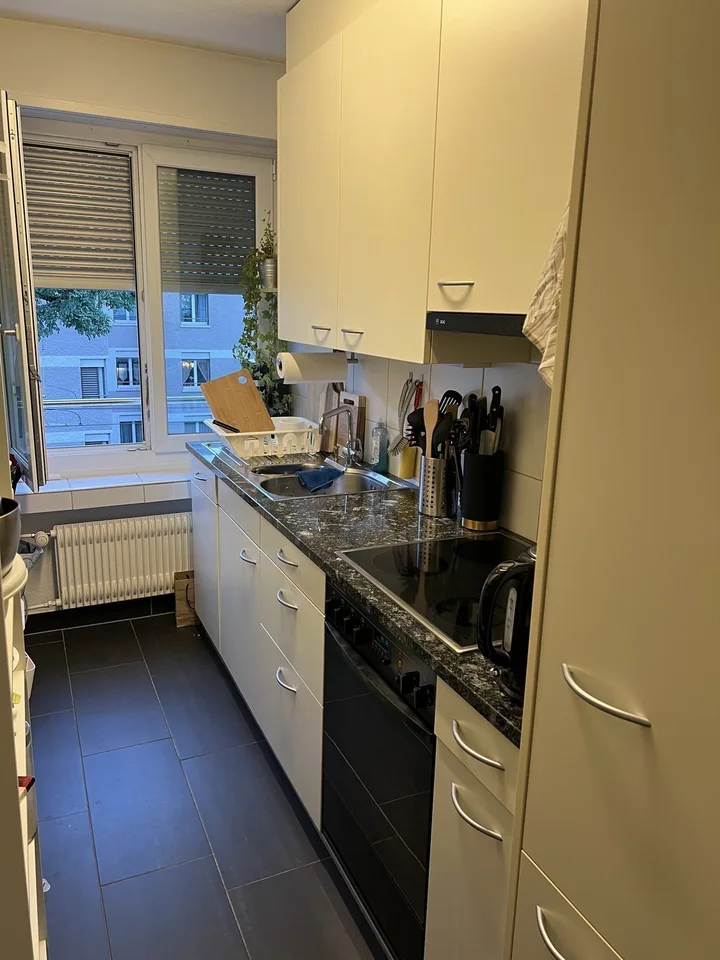 Accogliente appartamento di 2,5 stanze a Zurigo da scambiare – foto 10 di 13