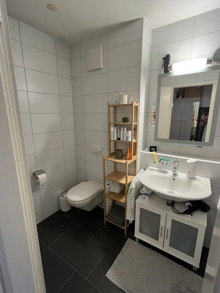 Accogliente appartamento di 2,5 stanze a Zurigo da scambiare – foto 11 di 13