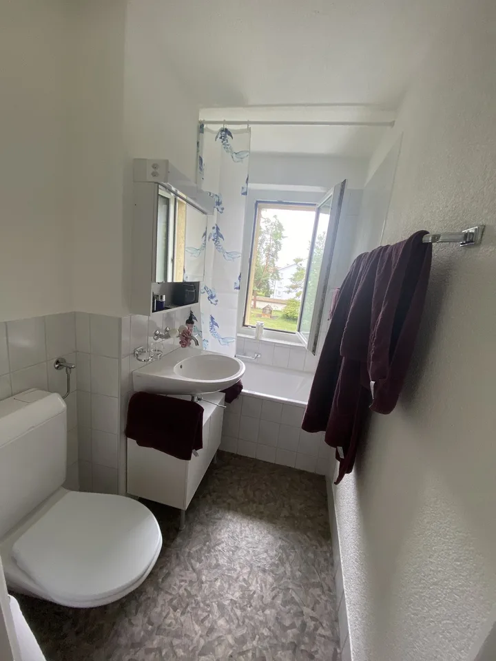 Appartamento 3 camere in affitto a Schwamendingen