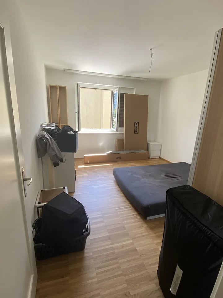 Appartamento 3 camere in affitto a Schwamendingen