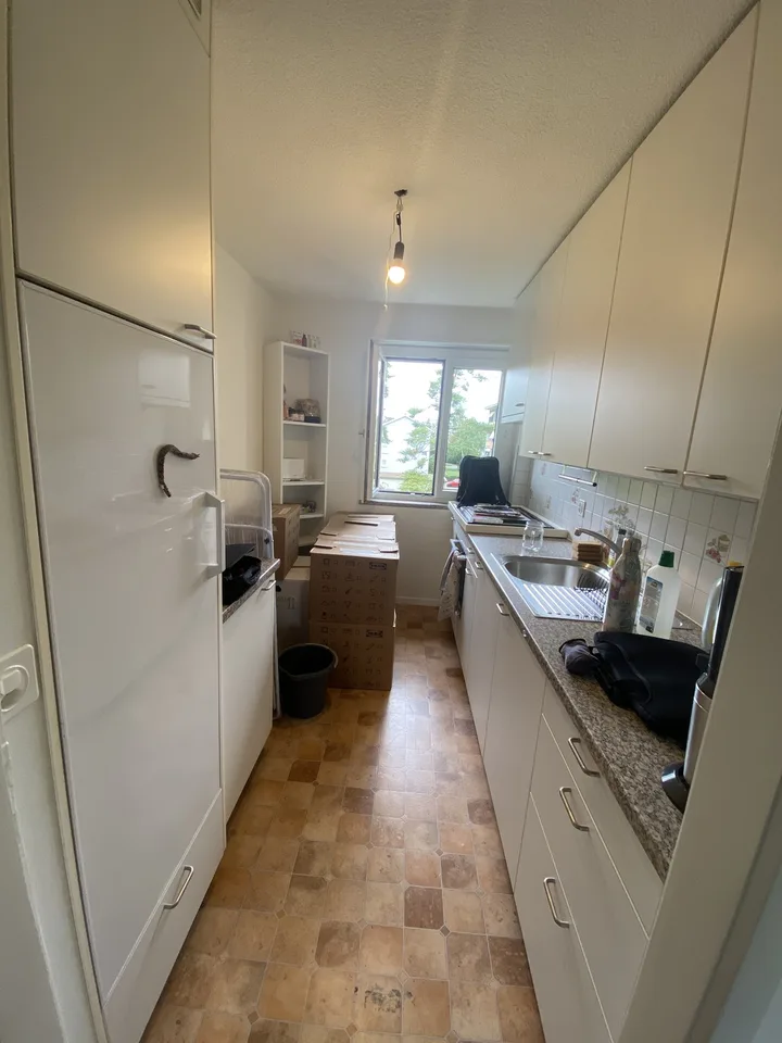 Appartamento 3 camere in affitto a Schwamendingen