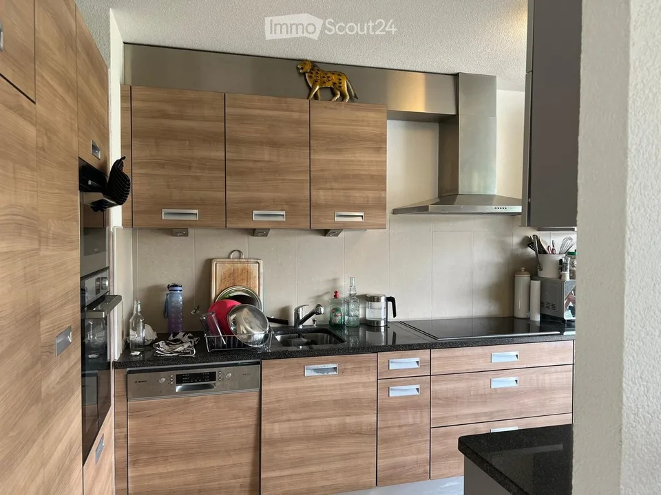 Lumineux appartement de 3,5 à reprendre pour le 1/10/26