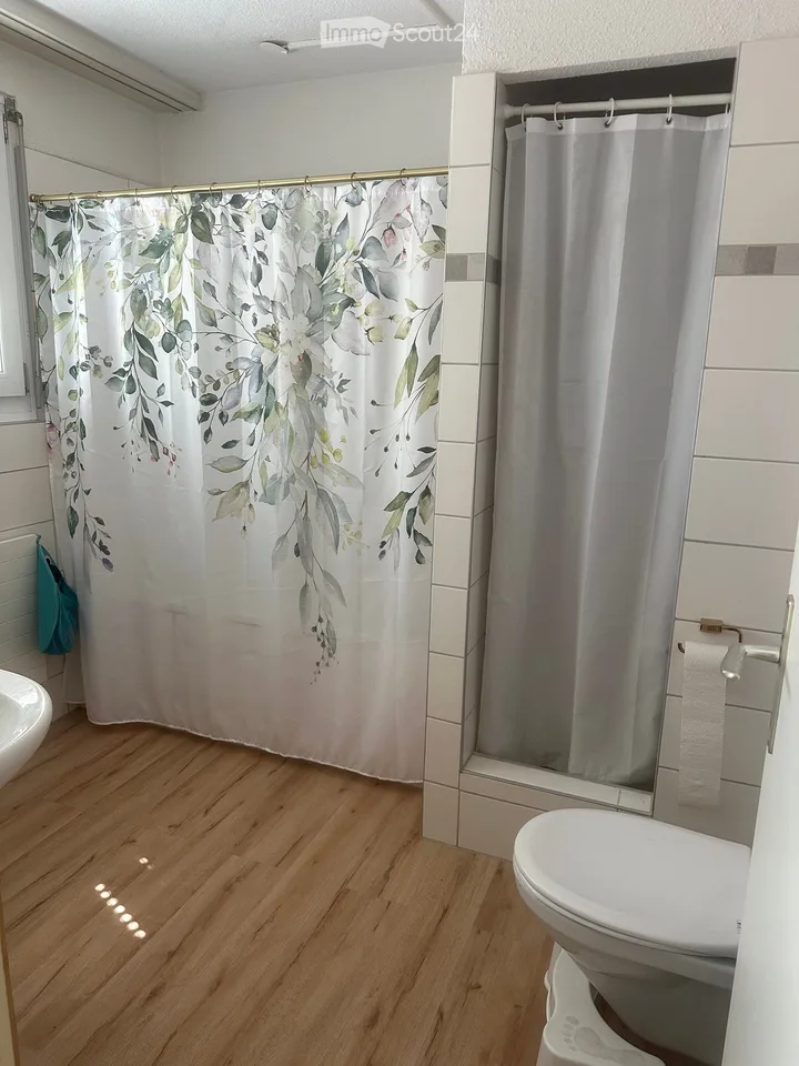 Spacious 7-room attic apartment in Hochfelden
