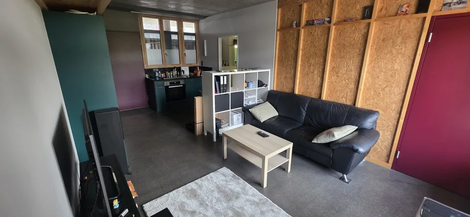 Bright 2.5-room apartment in Schlieren