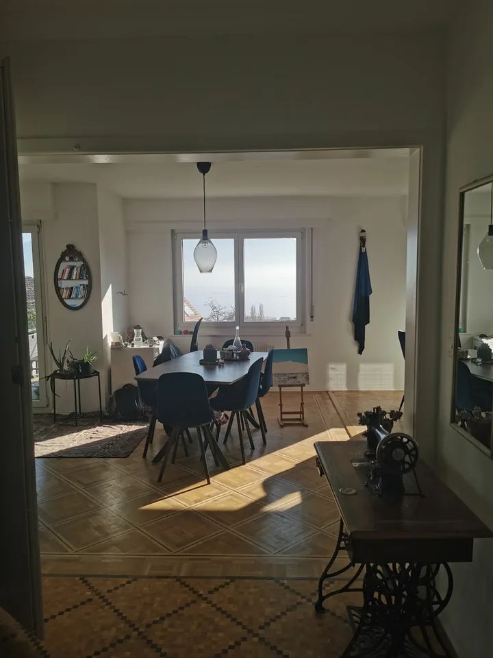 Cozy furnished room in sunny lake view flat