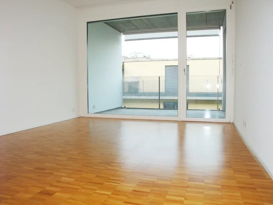 3 bedroom apartment near Novartis/BASF