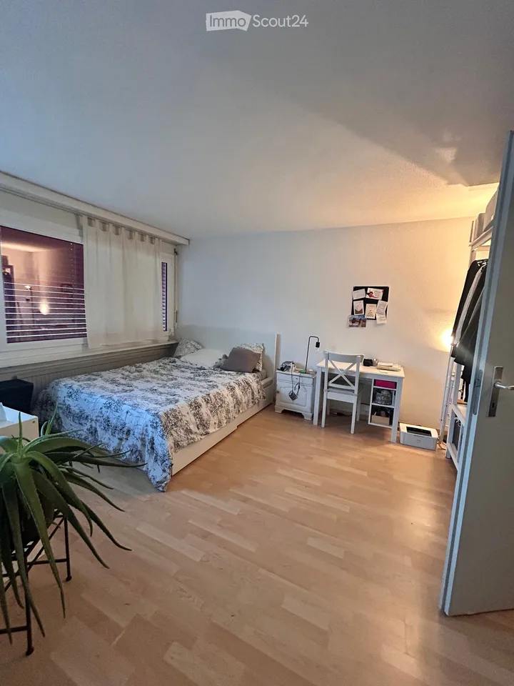 Appartement de 1,5 pièces à Düdingen recherche un sous-locataire