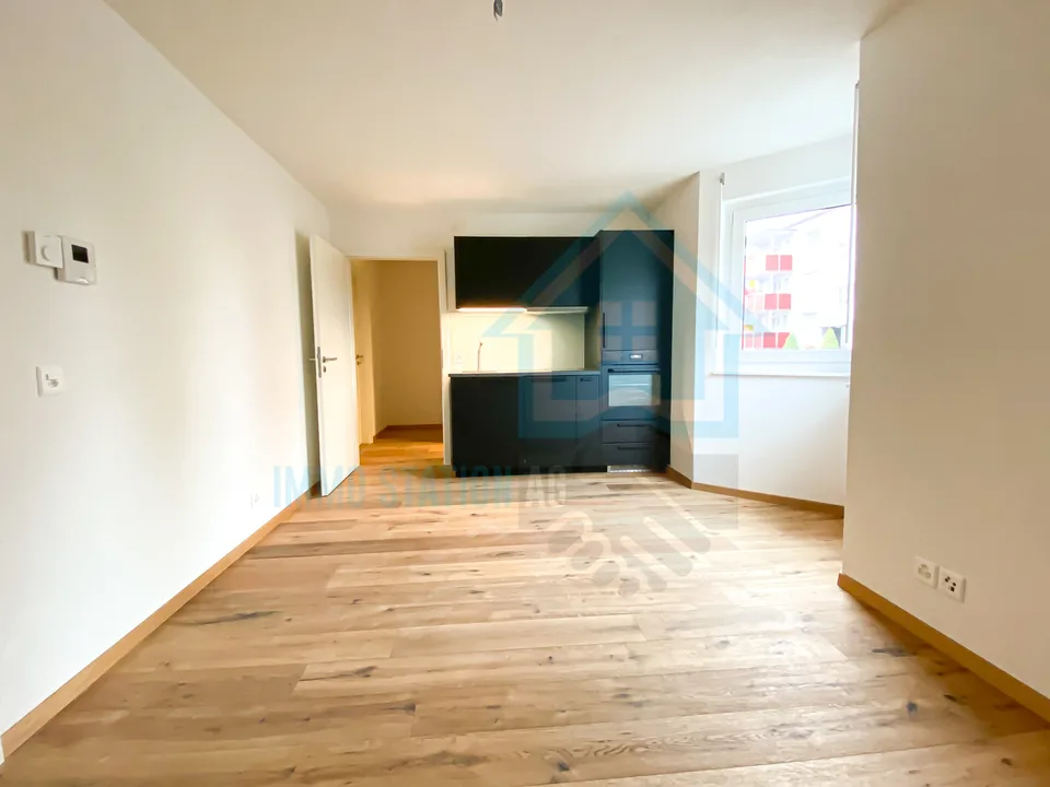 Modernes 1 Zimmerwohnung/Appartement/Studio in Gontenschwil AG