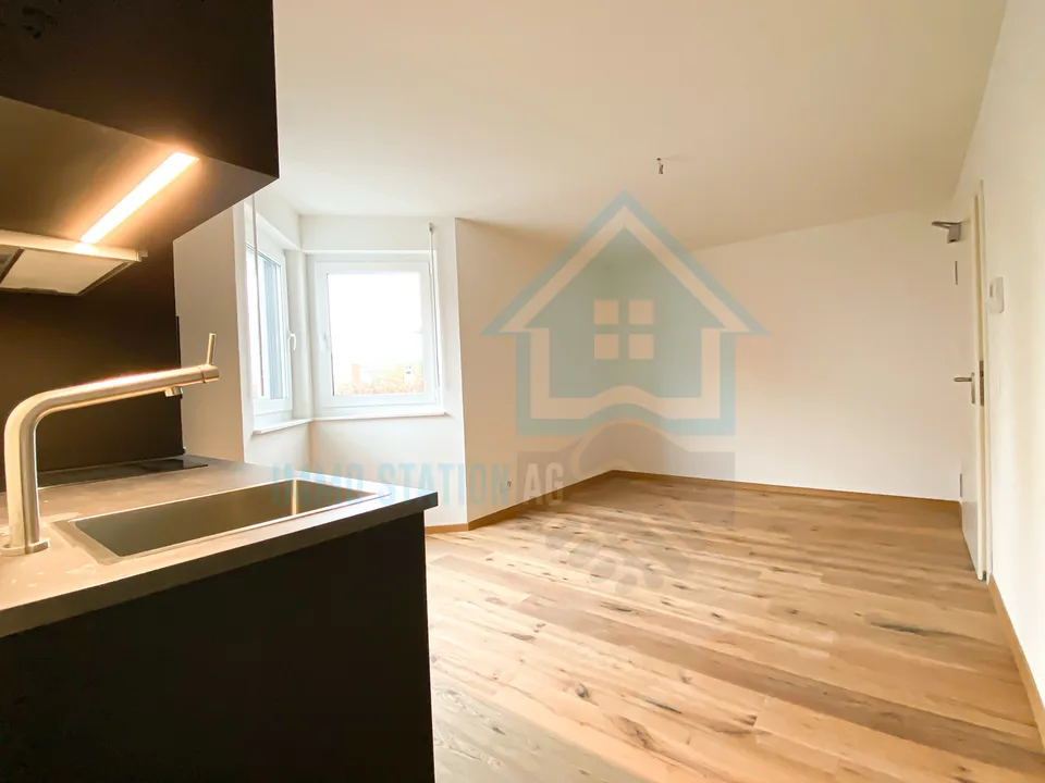 Modernes 1 Zimmerwohnung/Appartement/Studio in Gontenschwil AG