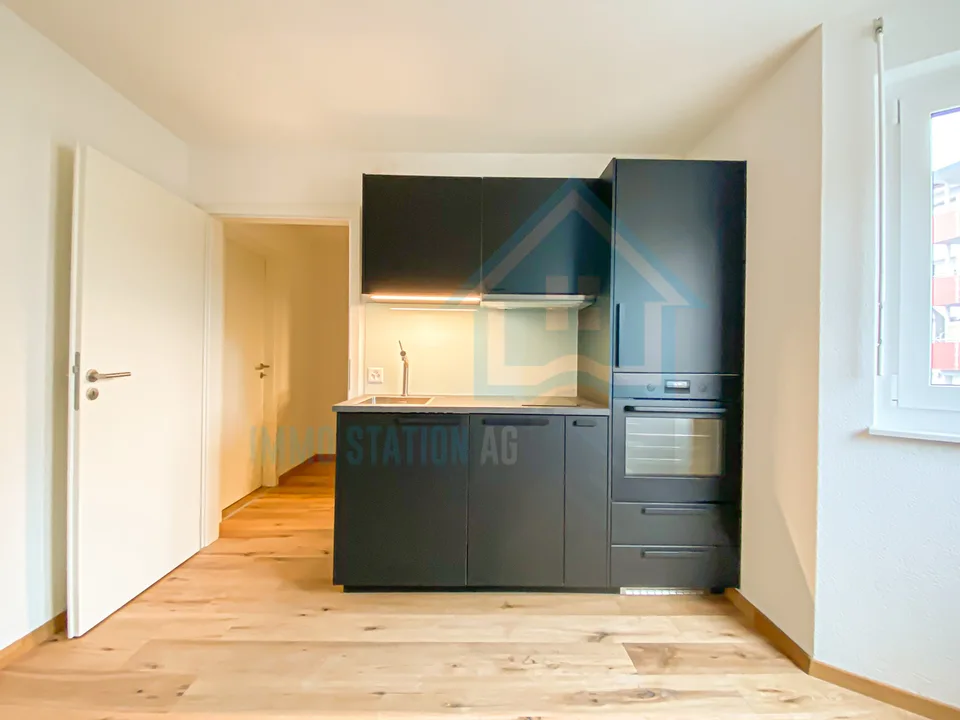 Modernes 1 Zimmerwohnung/Appartement/Studio in Gontenschwil AG