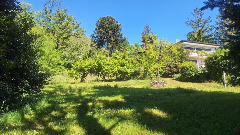 Terreno edificabile di 5'639 m² in posizione Soleggiata, Residenziale.