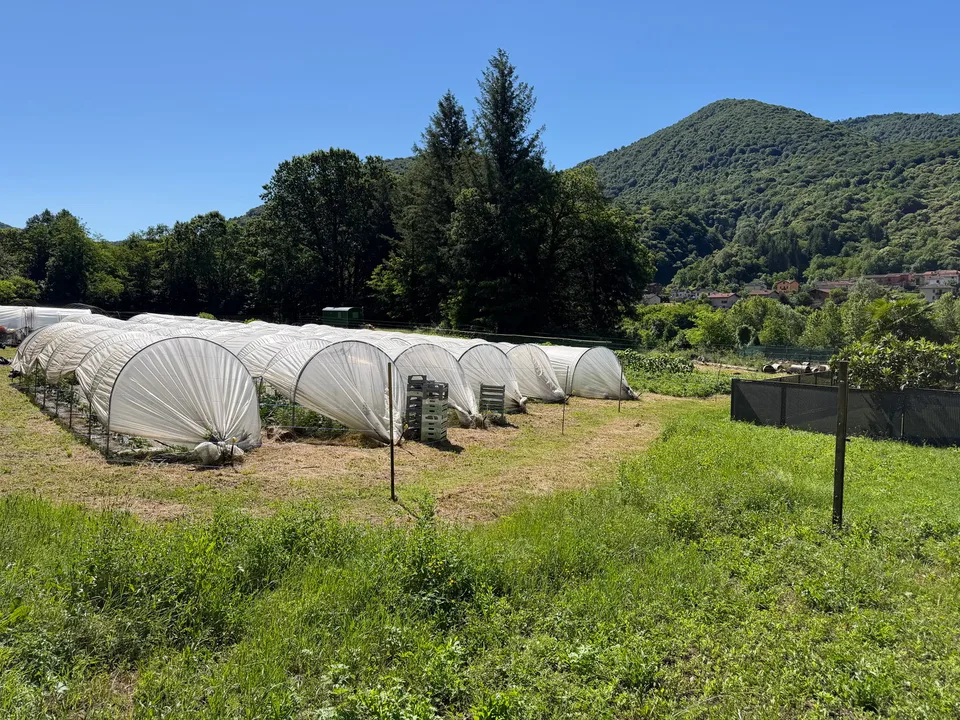 Terreno edificabile con vista panoramica a Monteggio