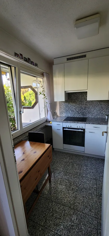 Studio luminoso 1.5 locali con giardino privato 20m² a Urdorf (01 set-01 ott)
