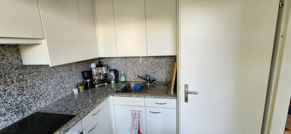 Studio luminoso 1.5 locali con giardino privato 20m² a Urdorf (01 set-01 ott)