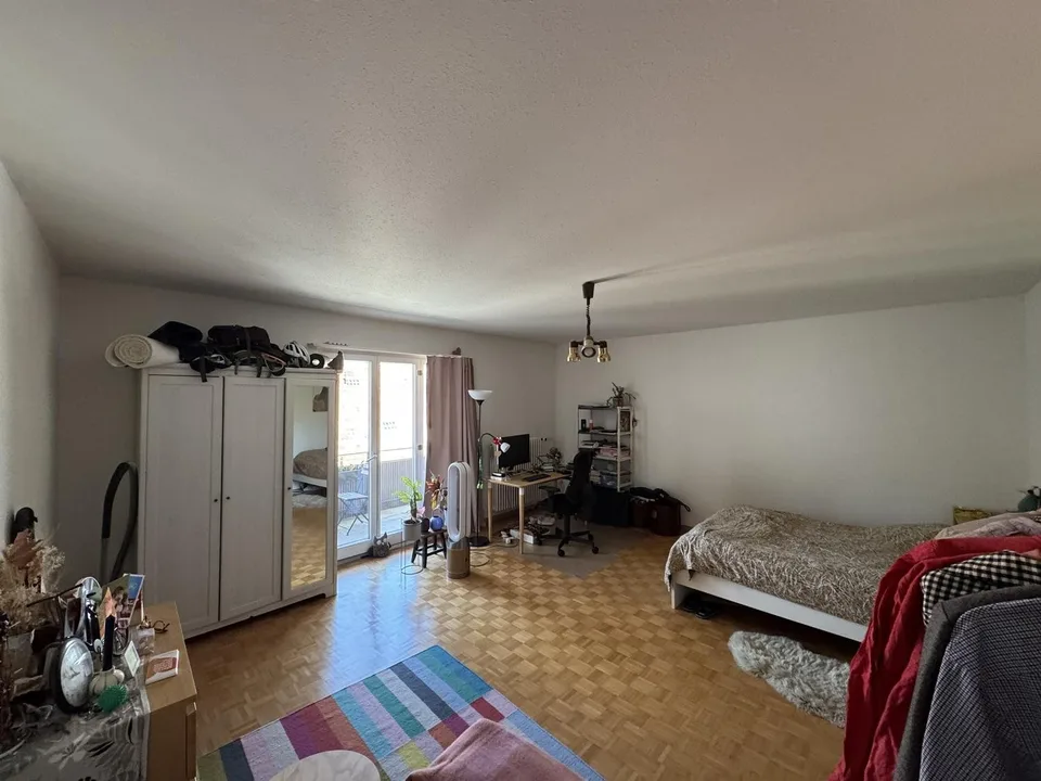 1.5 room apartment near Rhine and Old Town