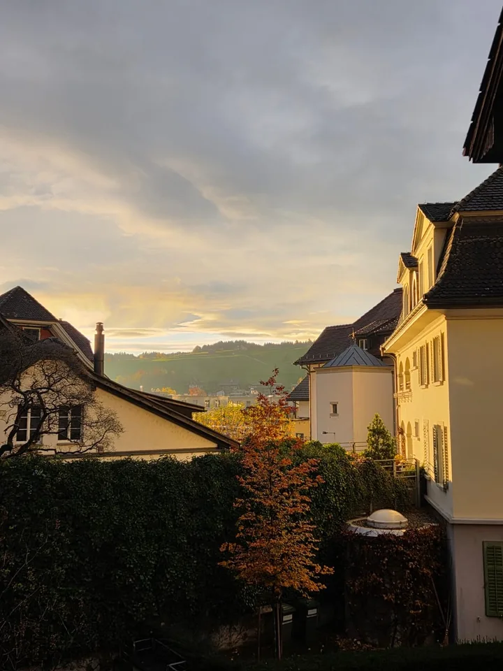 Vivre au cœur de Küssnacht