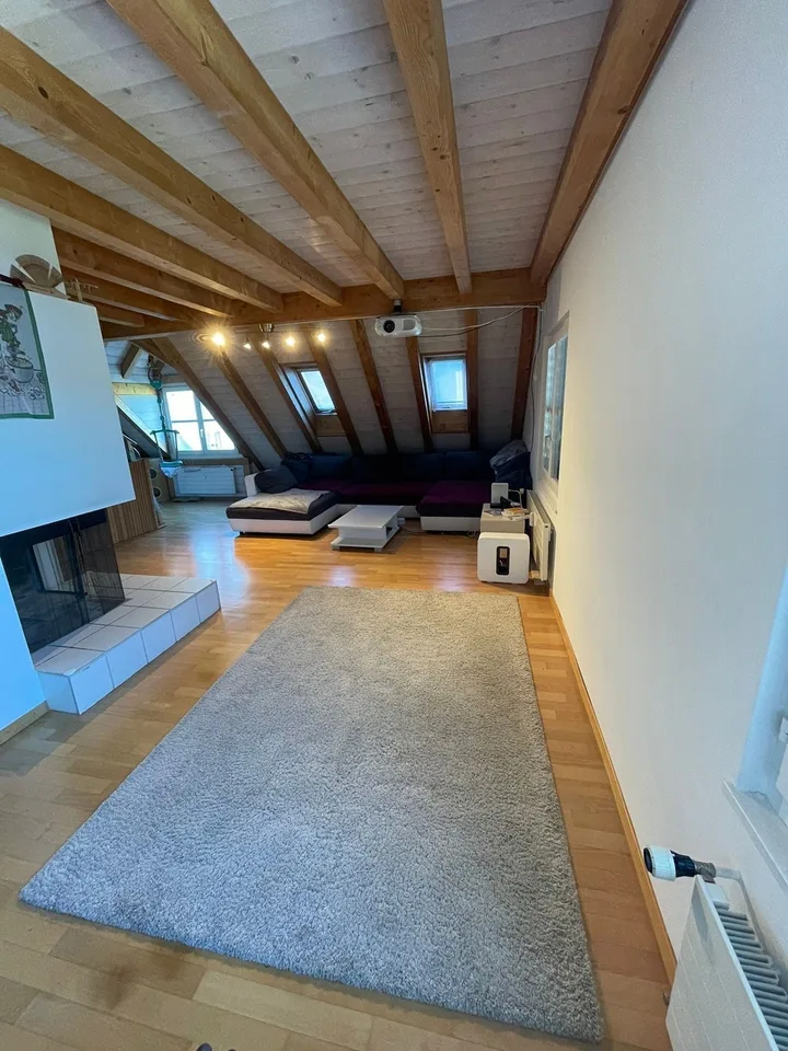 Chambre dans un appartement duplex charmant au bord du lac de Zurich avec une touche internationale !