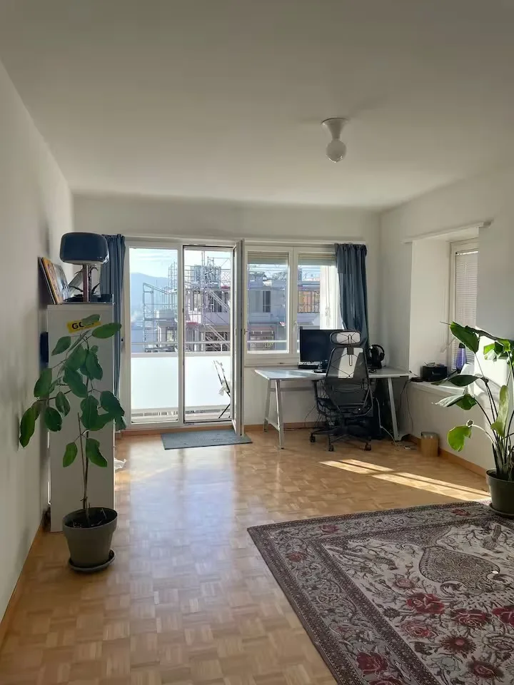 Helle 2-Zimmer-Wohnung, 5 Min. zum HB, mit Stadtblick, Zürich Kreis 6