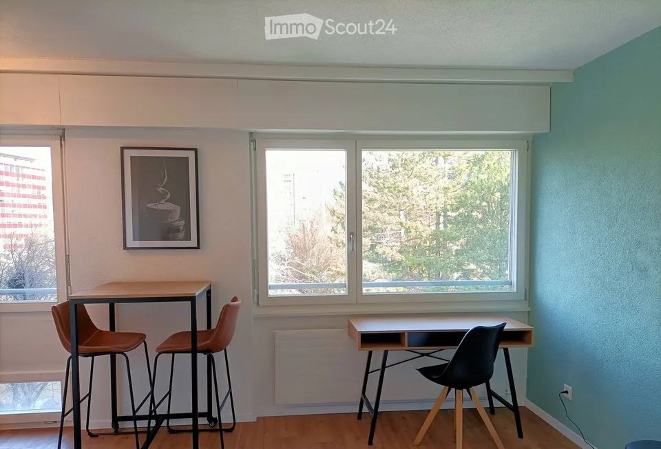 Charming renovated studio with a view, in the heart of Sion