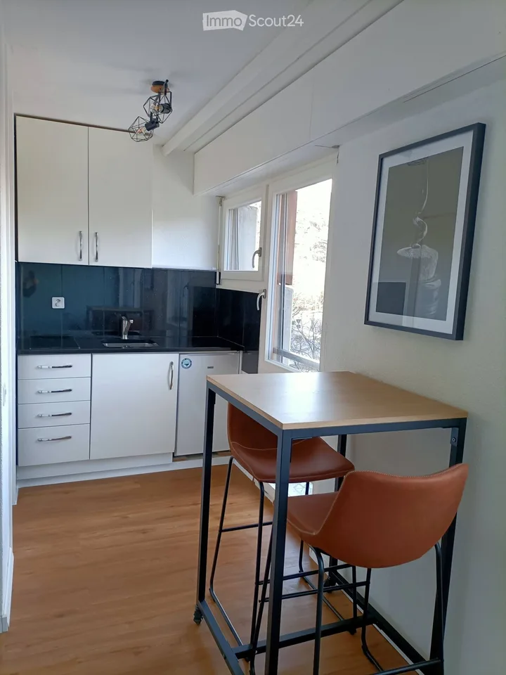 Charming renovated studio with a view, in the heart of Sion