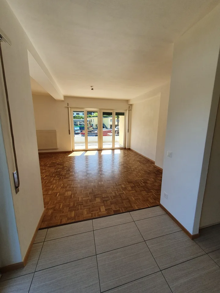 Helles 2.5-Zimmer-Apartment in Vezia
