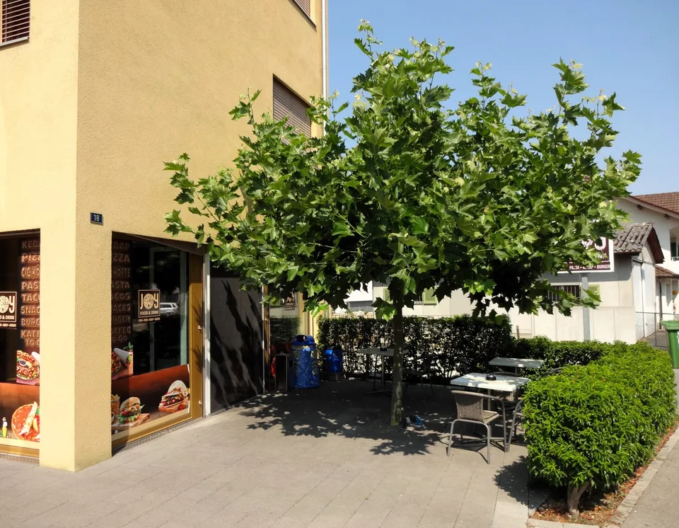 Zentral gelegener Imbiss oder Kebap unmittelbar neben dem Bahnhof in Menziken / AG