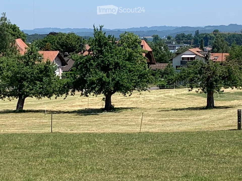 Ruhige 2.5-Zimmerwohnung mit Balkon und Garage in Münchenbuchsee