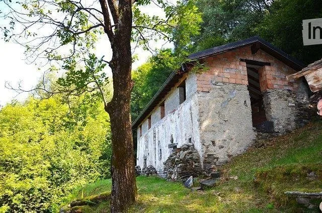 Grande rustico immerso nel bosco con grande terreno