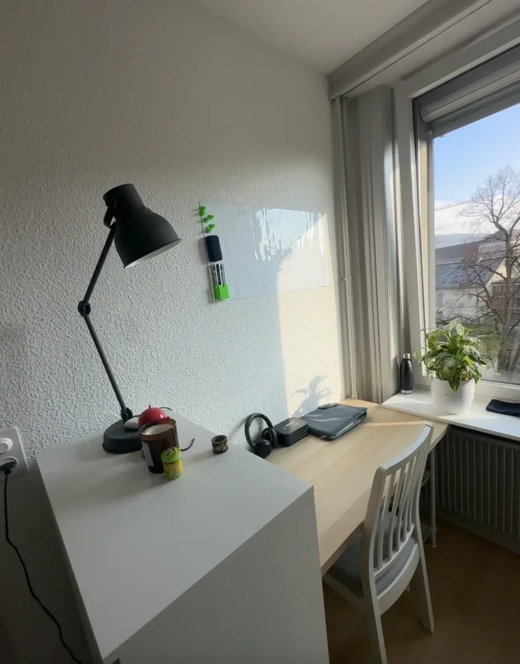 Camera luminosa arredata per studente ETH/ UZH | Zürich HB 10 min | Disponibile immediatamente