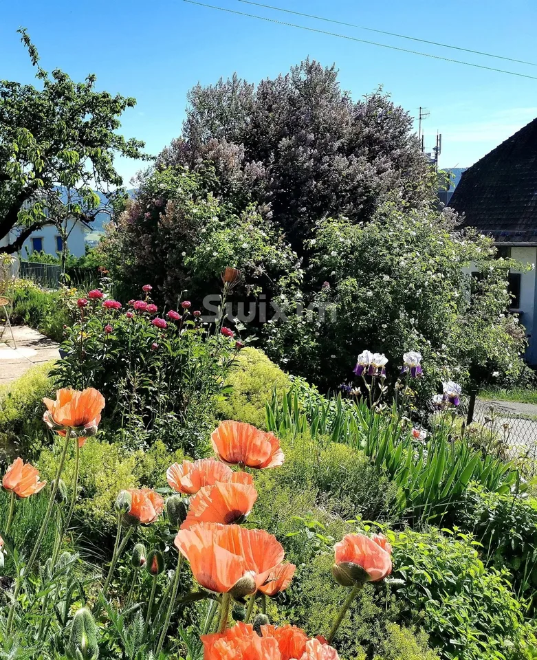 Maison individuelle avec un beau jardin – photo 11 sur 14