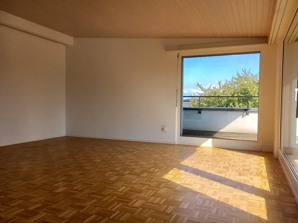 Attic apartment with chimney, large terrace + private laundry room