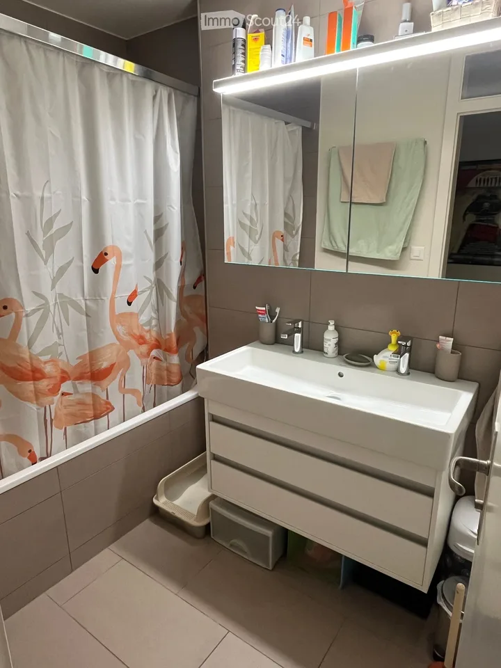 Helle und grosszügig geschnittene 3-Zimmer-Wohnung mit Balkon und schöner Aussicht in Birsfelden