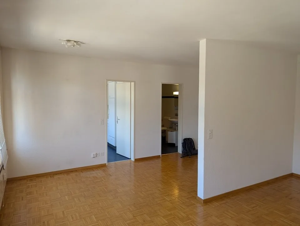 Appartement de 1,5 pièces en vieille construction avec vue généreuse