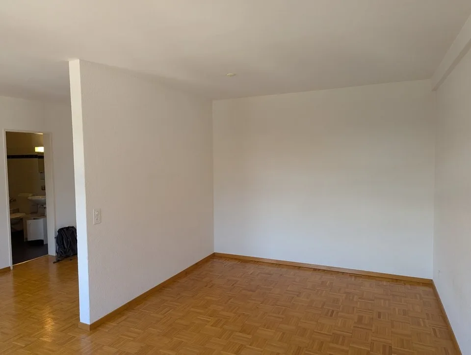 Appartement de 1,5 pièces en vieille construction avec vue généreuse