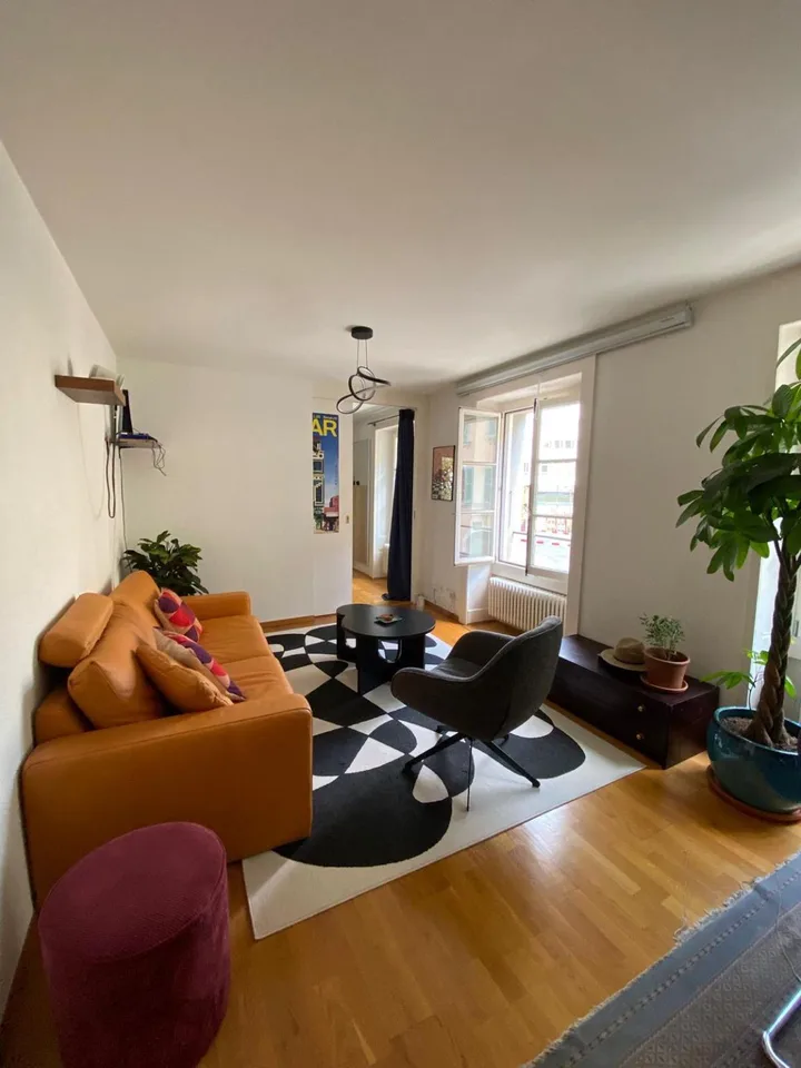 Charmant 3.5 pièces au coeur de Carouge