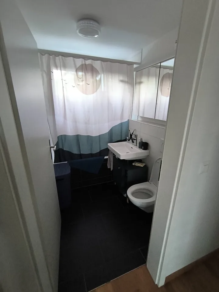 Beautiful and bright 3.5-room apartment with roof terrace
